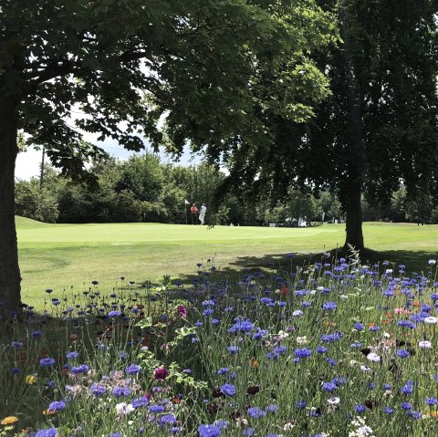 Golf Bad M&uuml;nstereifel GmbH 2, &copy; Golf Bad M&uuml;nstereifel GmbH