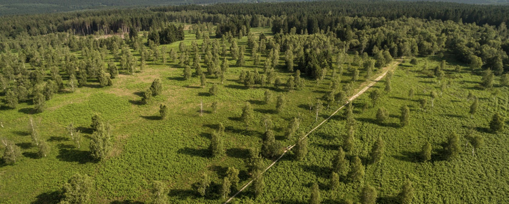 Wandertour Struffeltroute aus der Luft, &copy; Eifel Tourismus GmbH/D. Ketz
