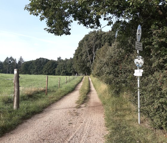 20210920_090428, &copy; Annette Rosen-Roevenich & Nordeifel Tourismus GmbH