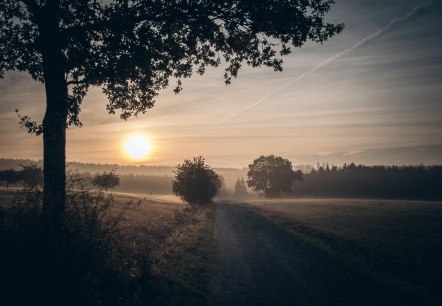 Schöpfungspfad, © Nationalparkseelsorge