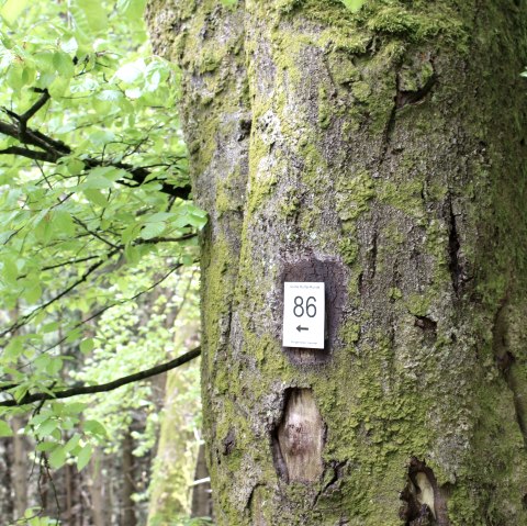 Marking hiking trail 86, &copy; Gemeinde Simmerath