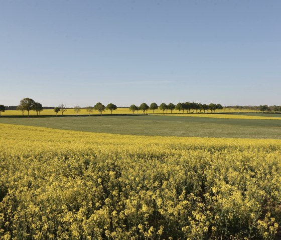 _DSC8039, &copy; Nordeifel Tourismus GmbH & La Maison