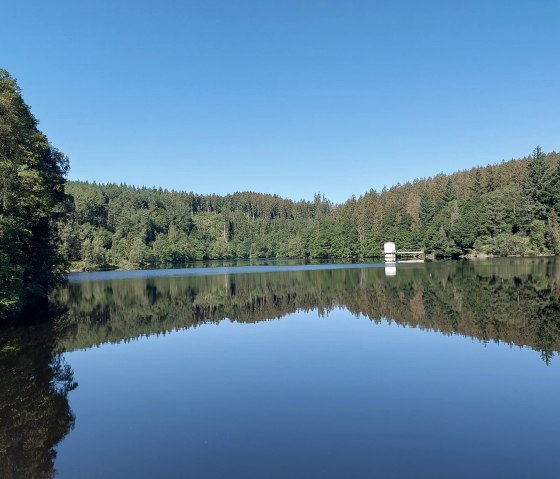 Kalltalsperre Juni-August (co) Thei&szlig;en-Braun