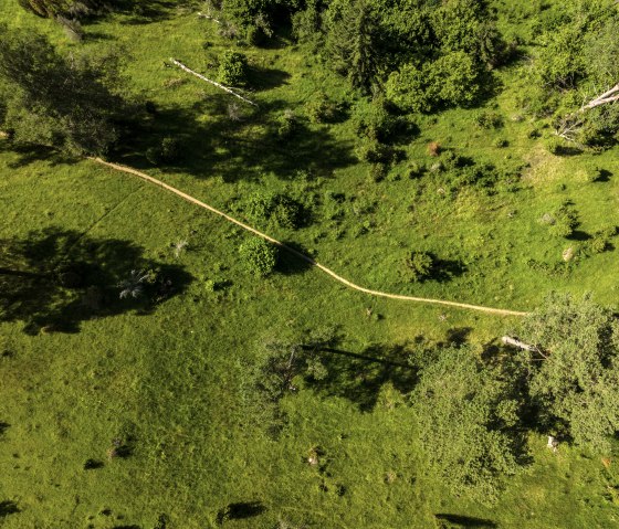 Luftaufnahme eines grünen Hügels im Lampertstal mit einem schmalen Pfad, umgeben von Bäumen und Sträuchern., © Eifel Tourismus GmbH, Dominik Ketz