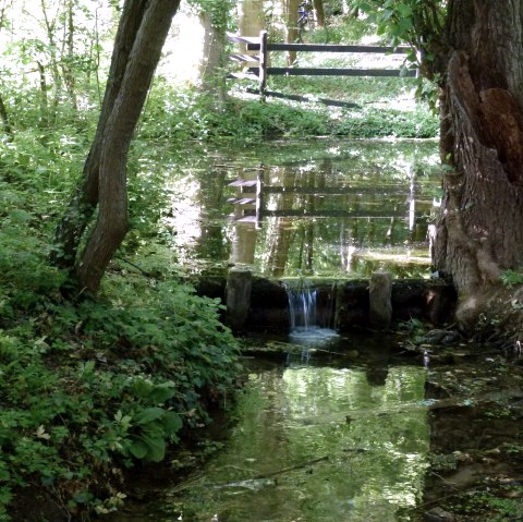 Helje Pötz in der Drover Heide, © Rureifel-Tourismus e.V.