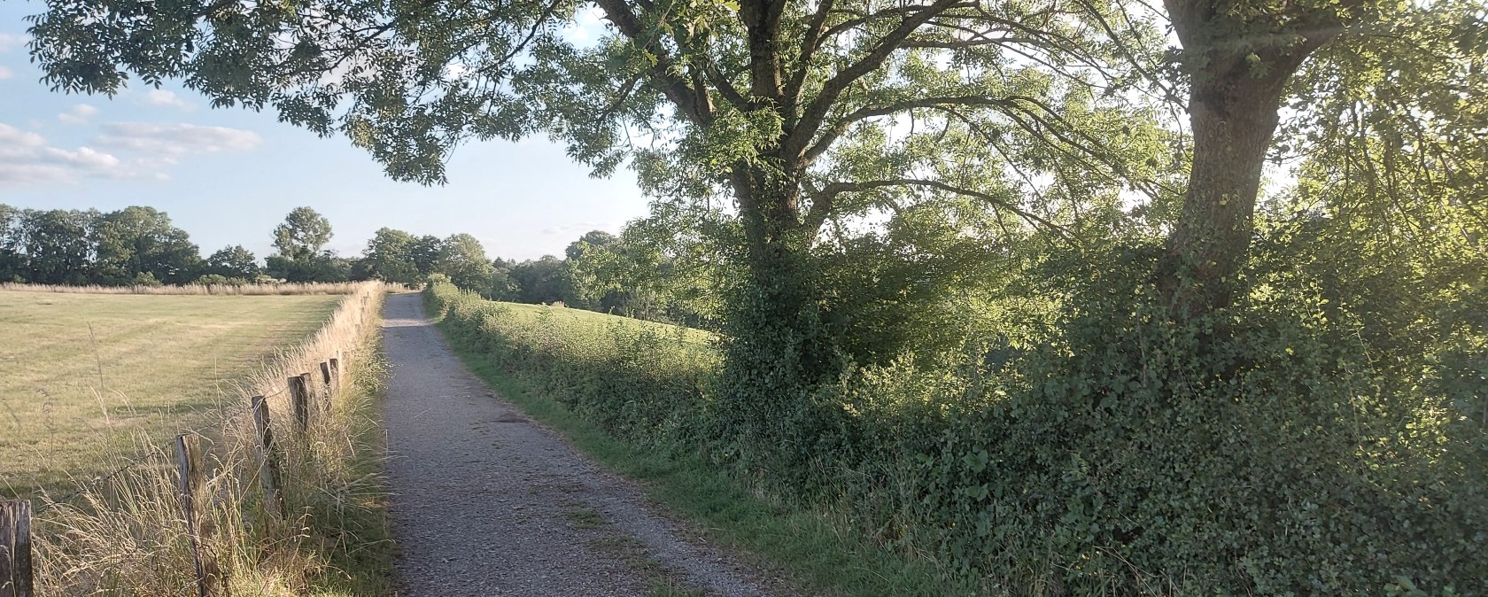 Sommerweg Krauthausen Juli-August (co) Thei&szlig;en-Bra