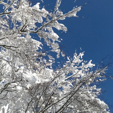 Winterhimmel blau-weiß (c) Theißen-Braun