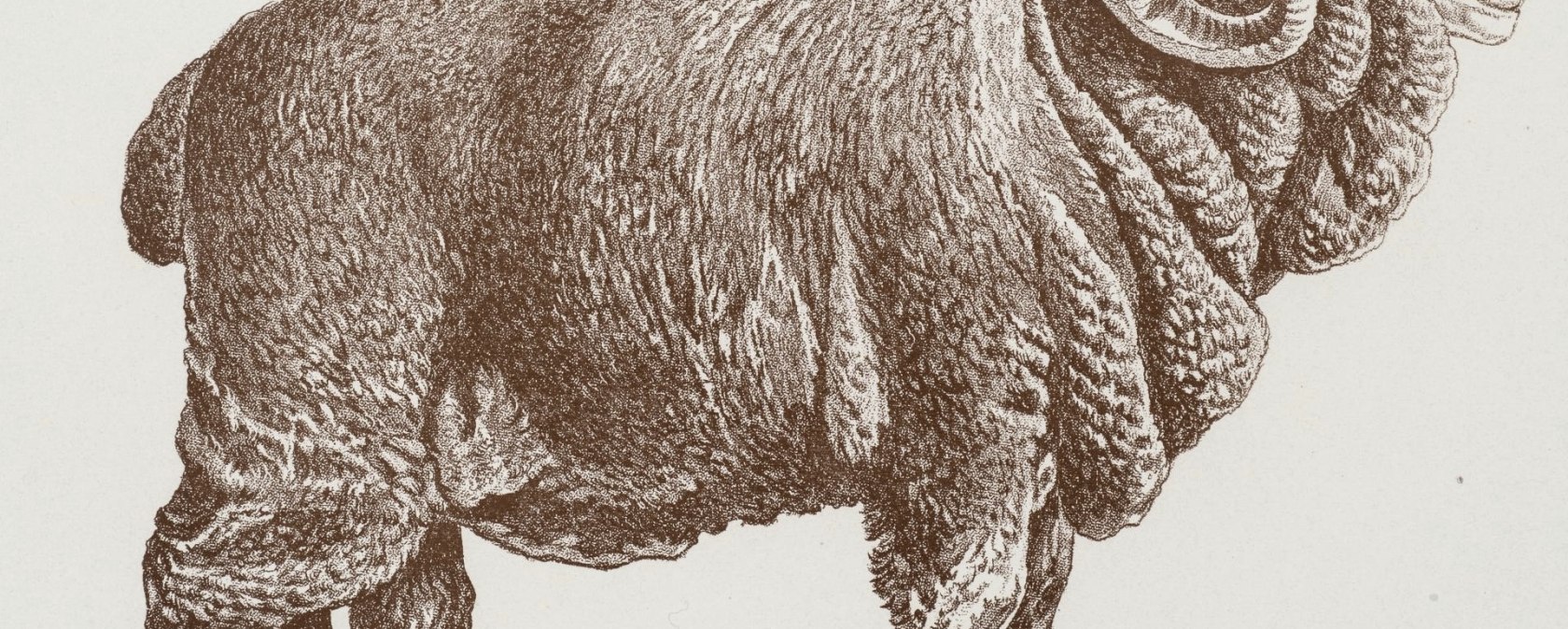 Negretti-Schafbock, &copy; LVR-Industriemuseum