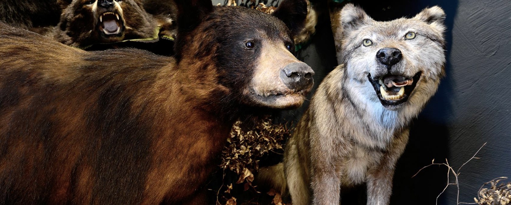 Baerenhoehle, &copy; Bernd Stuhlmann