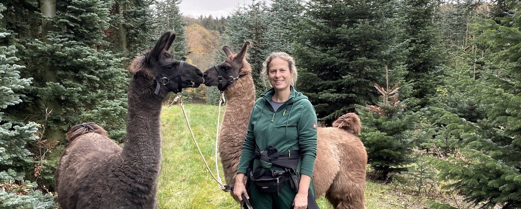 Waldbaden mit Lamas und Alpakas, &copy; Anne Knein