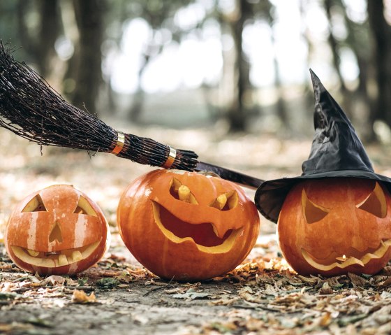 Halloween &Uuml;bernachtung, &copy; Freepik