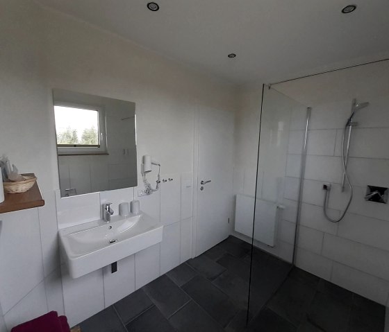 Premium double room bathroom