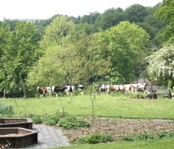 Garten1, &copy; Ferienwohnung Buch uns