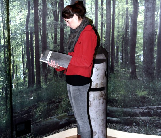 Ausstellung im Nationalpark-Tor Heimbach, &copy; Priske
