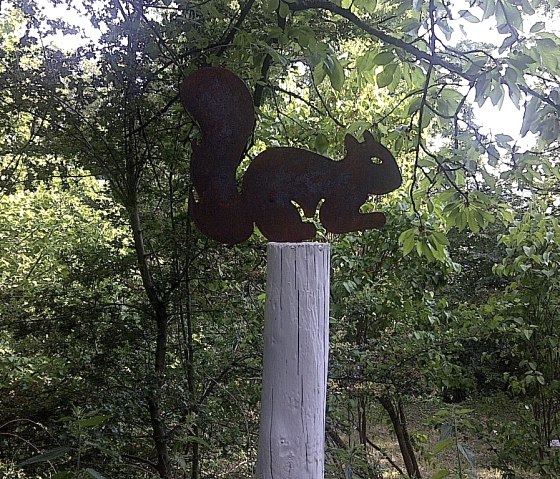 eichhorn unten