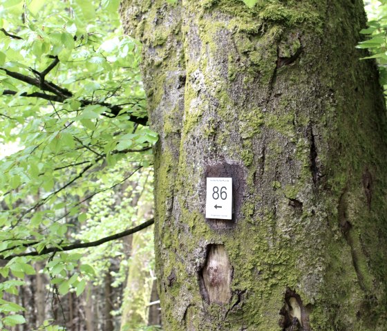 Marking hiking trail 86, &copy; Gemeinde Simmerath