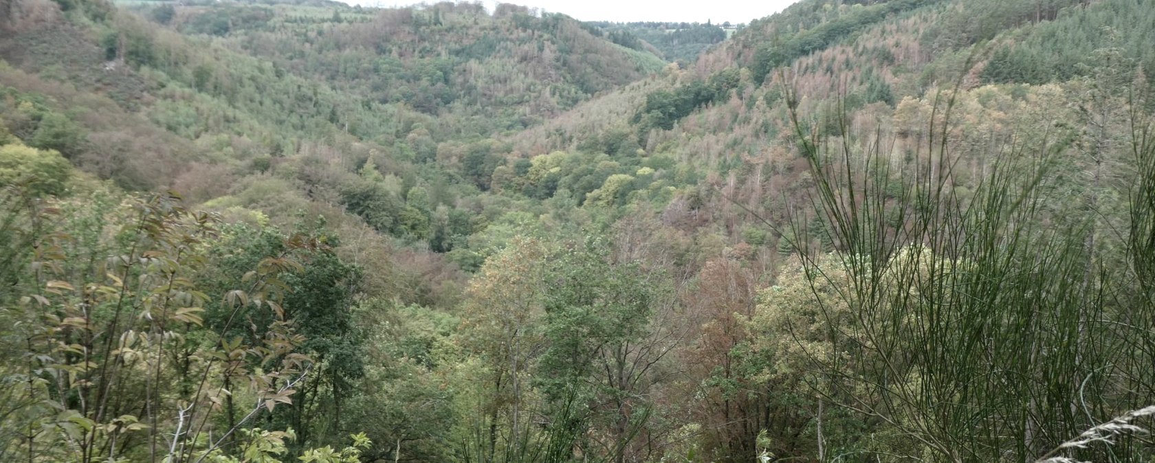 Aussicht, &copy; Eifel heimisch