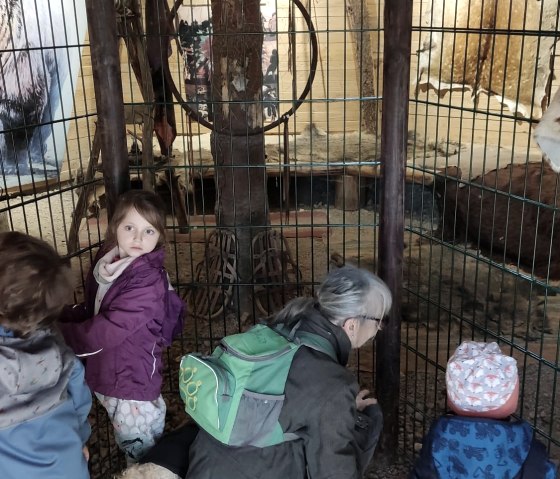 Wildfreigehe Hellenthal, &copy; Lena Poth