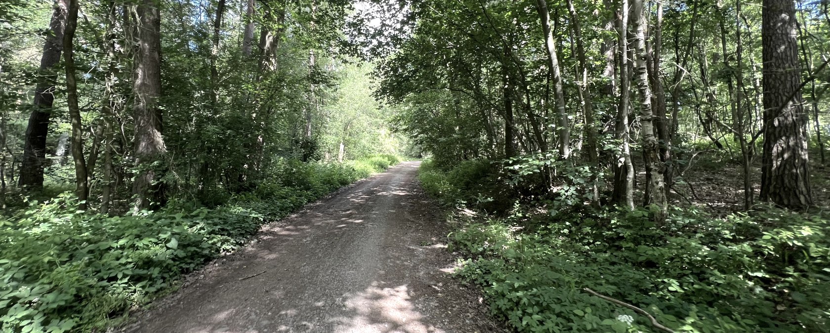 Entlang der Wanderung Nr. 09, &copy; Rureifel-Tourismus e.V., Michelle Wiesen
