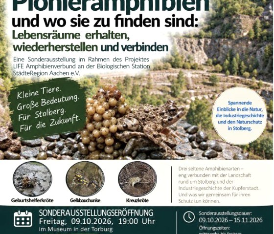 Ausstellung: Pionieramphibien und wo sie zu finden