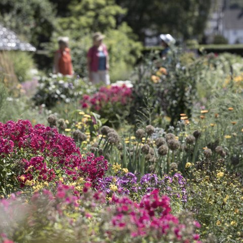 Symbolbild Garten, © Ralph Sondermann