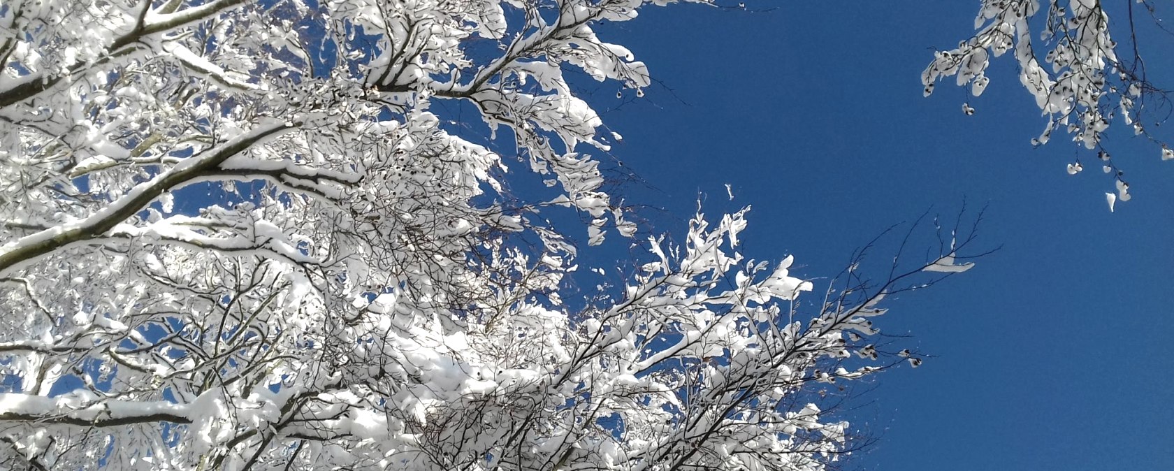 Winterhimmel blau-weiß (c) Theißen-Braun