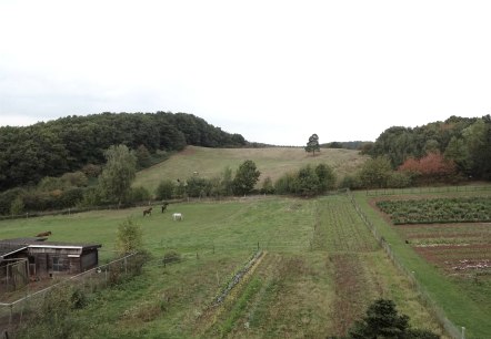 Aussicht, &copy; Nordeifel Tourismus GmbH & Ferienwohnung Mombauer