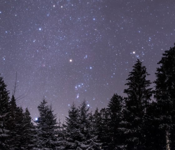 Lichte Hardt, &copy; Bernd Pr&ouml;schold