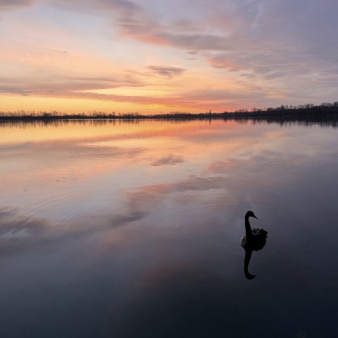 Sonnenaufgang, &copy; Seepark Z&uuml;lpich
