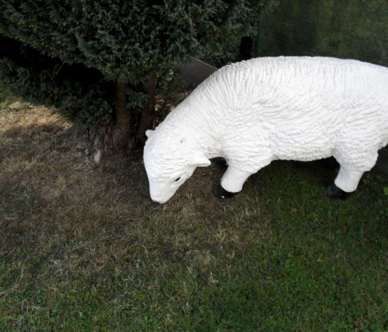 SAM_0412, &copy; Nordeifel Tourismus GmbH & Ferienwohnung Haus Klinkhammer