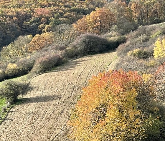 Herbstimpressionen
