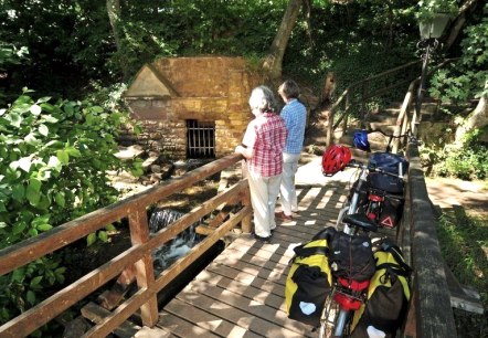 Radfahrer an der Erftquelle