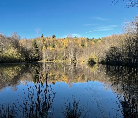 1000173583, &copy; Nordeifel Tourismus GmbH & L&acute;Extravagante