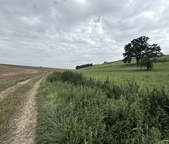 Entlang der Tour, &copy; Rureifel-Tourismus e.V., Dennis Winands