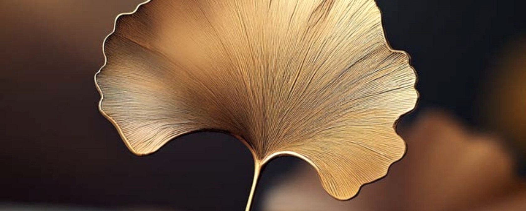 Achtsamkeits-Wochenenden, &copy; Alexandra Walsleben