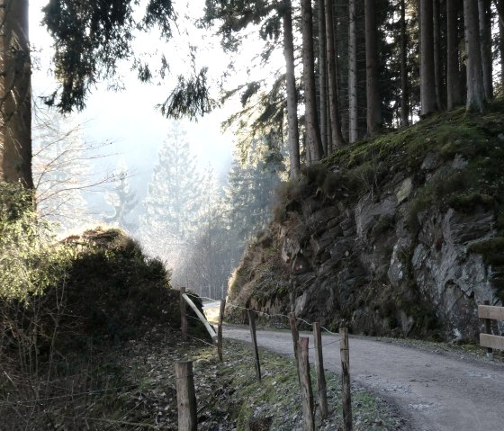 Idylle Wald, &copy; Eifel heimisch
