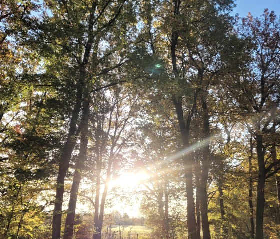 20211110_084214, &copy; Annette Rosen-Roevenich & Nordeifel Tourismus GmbH