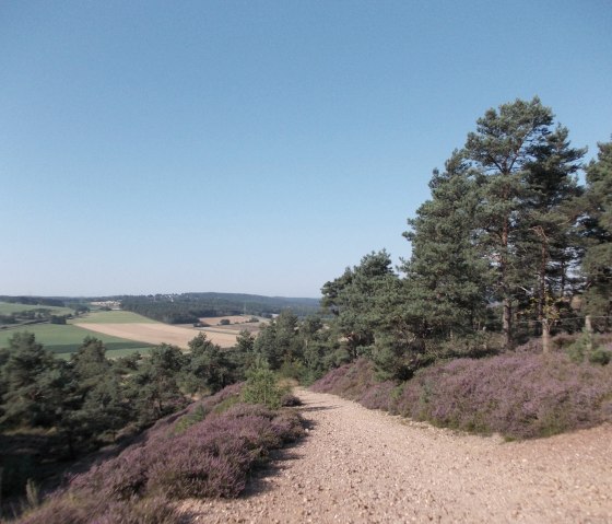Panorama Weg bei Mechernich, &copy; Guido Hendle