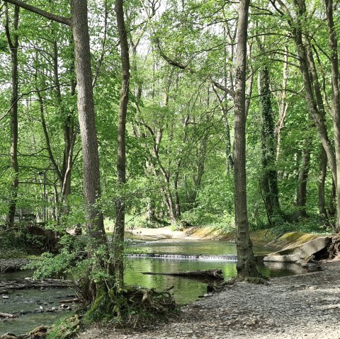 Along the Kall, &copy; Rureifel-Tourismus e.V.