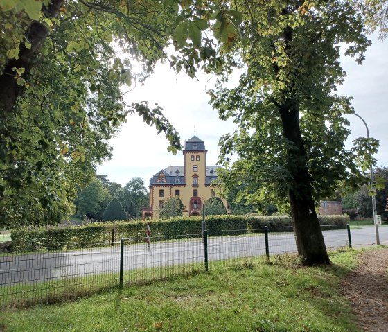 Blick auf Burg Wachendorf durch Bäume hindurch, mit einem Zaun im Vordergrund und einer Straße davor., © Sweco GmbH
