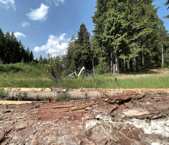 Wir vermieten auch e_Bikes, &copy; Hotel Schr&ouml;der