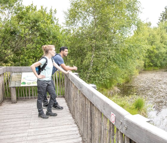 Zwei Personen stehen auf einer Holzplattform, umgeben von dichtem Gr&uuml;n. Ein Schild ist auf der Plattform angebracht., &copy; Eifel Tourismus GmbH, AR-shapefruit AG
