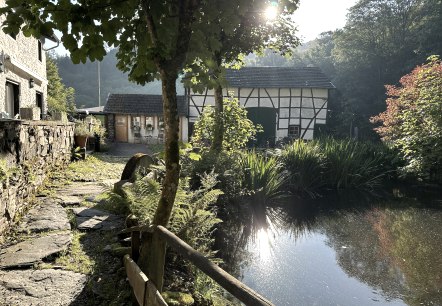 Mestrenger M&uuml;hle, &copy; Mestrenger M&uuml;hle