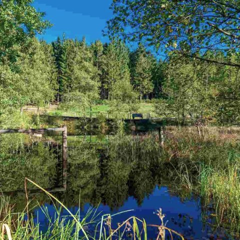 Moorgebiet, &copy; Paul Meixner