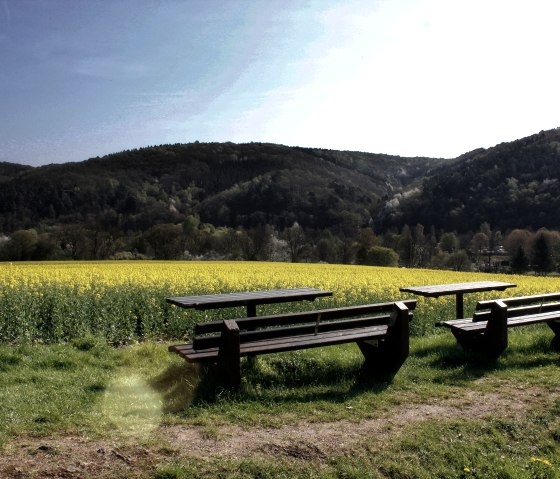Break with a view of the rapeseed field