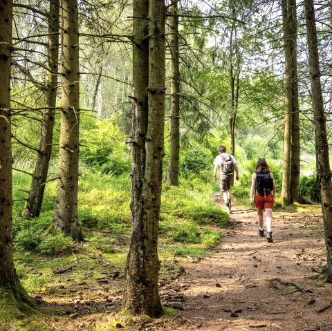 Kaiser-Karl-Weg, &copy; St&auml;dteRegion Aachen, Dominik Ketz