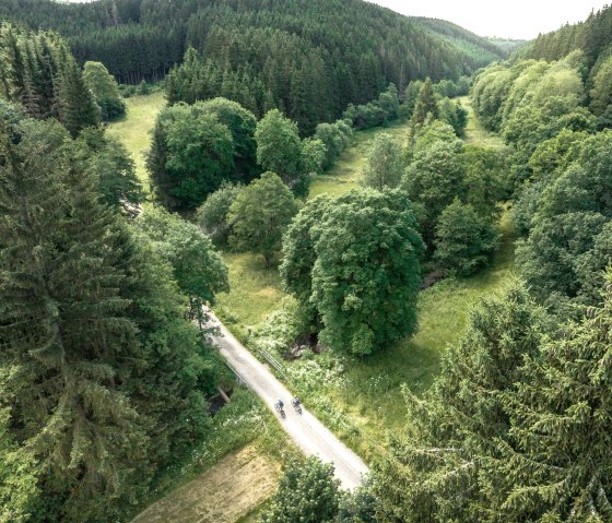 Aerial view of a green valley with dense forest and meadows. A narrow path leads through it, on which cyclists can be seen., &copy; Eifel Tourismus GmbH, Dennis Stratmann