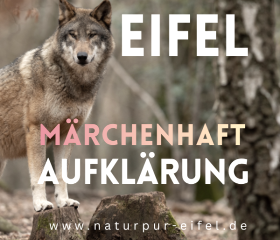 Fairytale enlightenment, &copy; Natur Pur Eifel