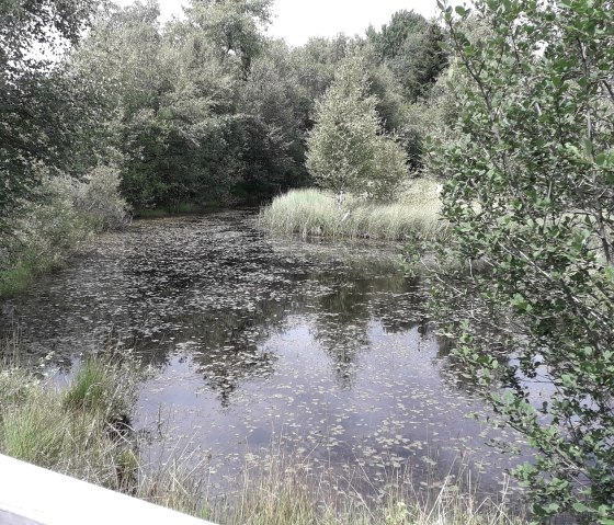 Palsen near M&uuml;tzenich