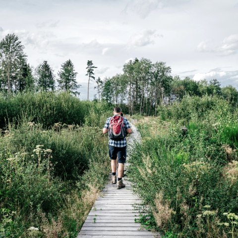 Wandern in der Sistig-Krekeler Heide, © Paul Meixner